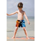 Ice & Fire Dragon Funny Boy Swim Trunk