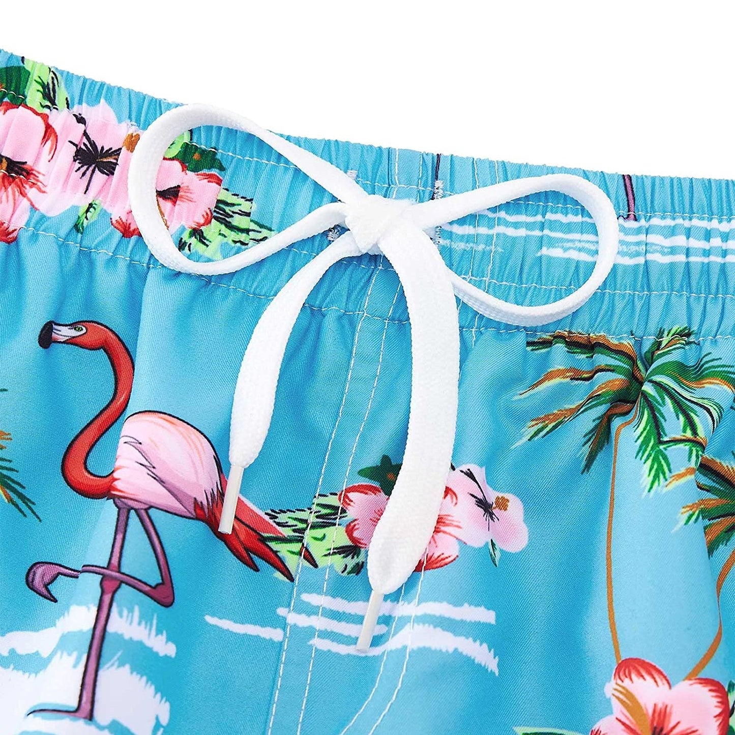 Flamingos Blue Funny Boy Swim Trunk